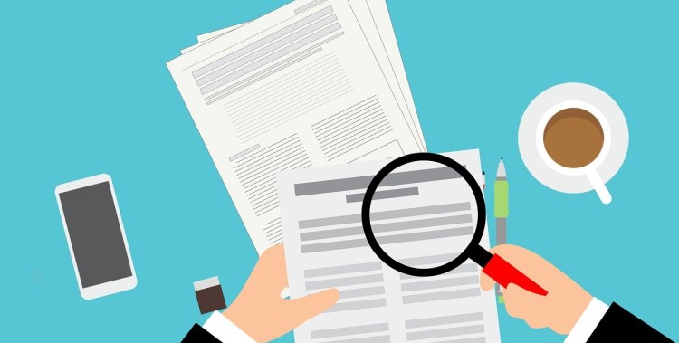 The Role of Public Sector Audits in the Anti-corruption Agenda